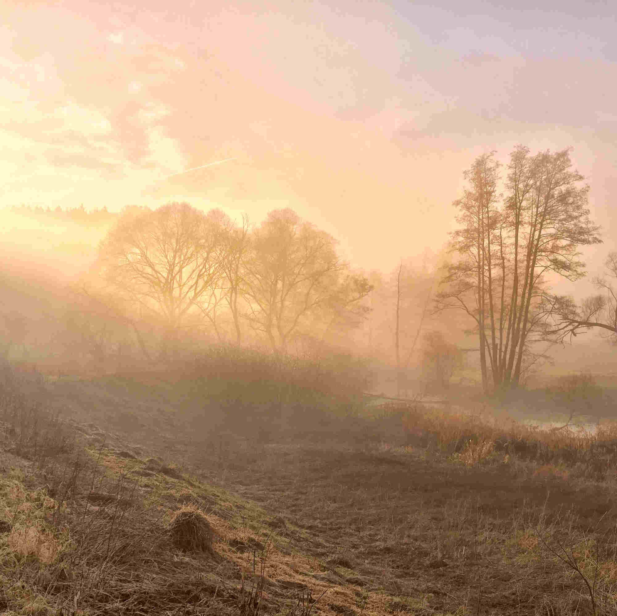 Martin Gebhardt: Spring Morning